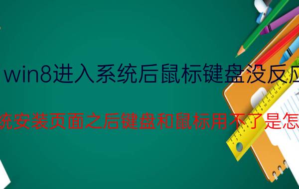 win8进入系统后鼠标键盘没反应 进入系统安装页面之后键盘和鼠标用不了是怎么回事？